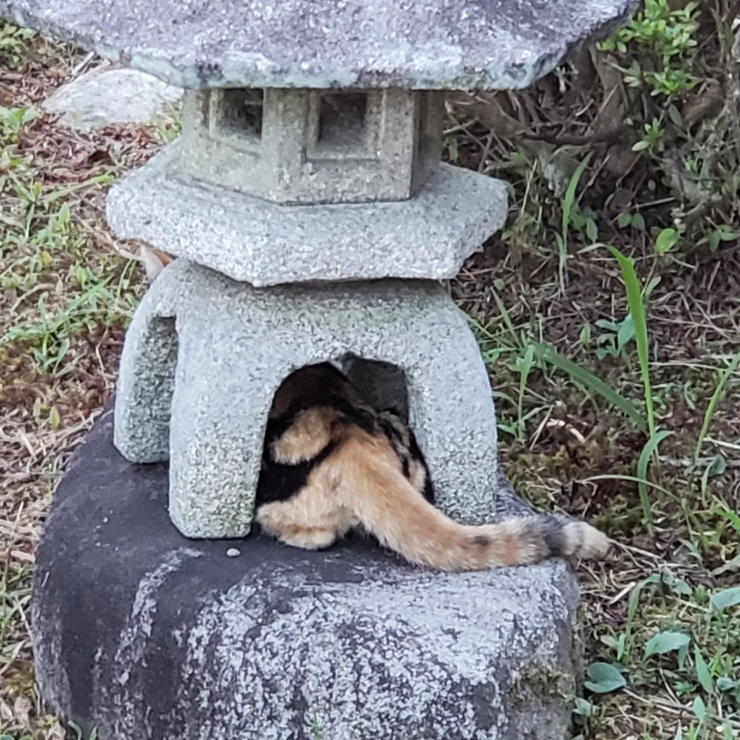 今日ももずくは元気です😍