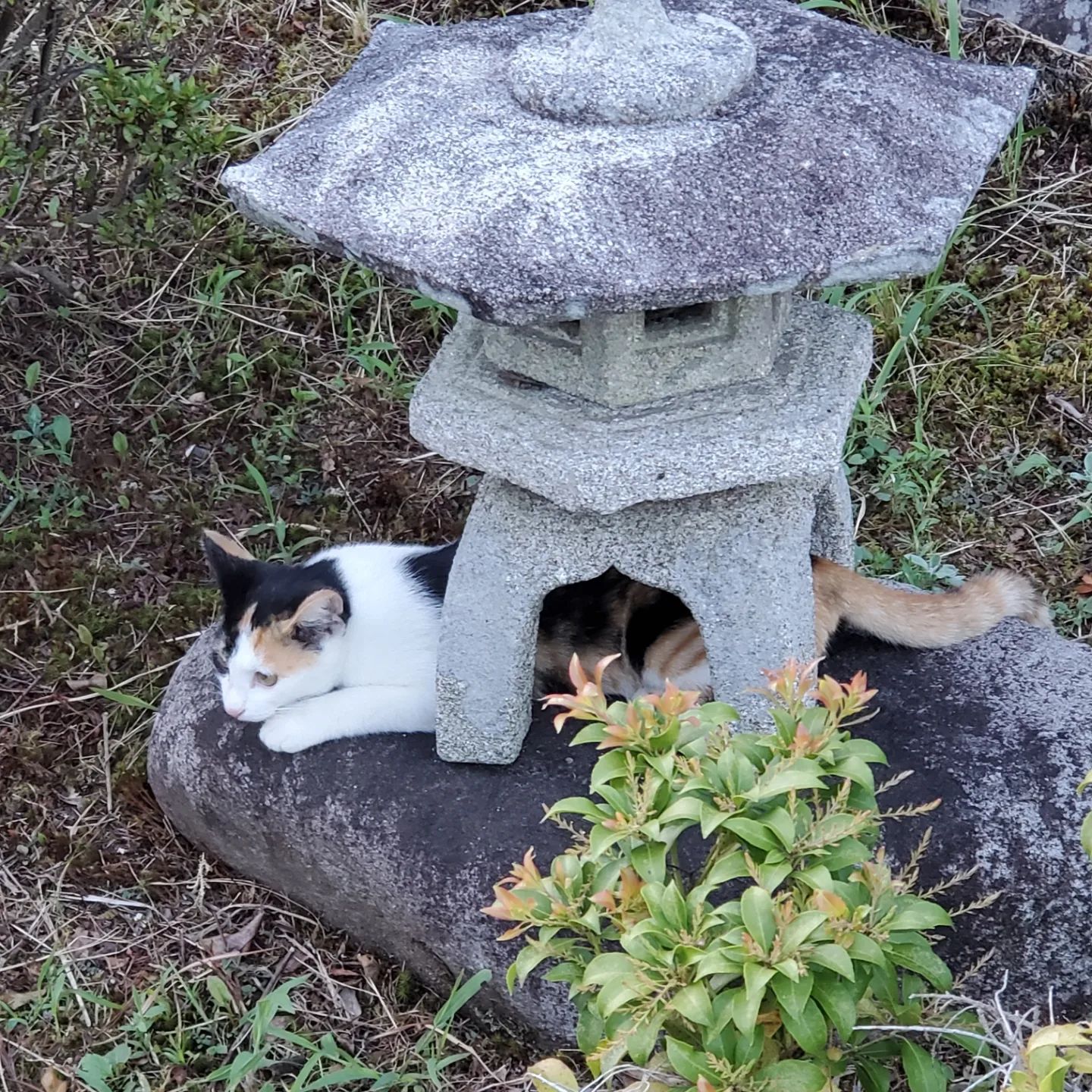 今日ももずくは元気です😍