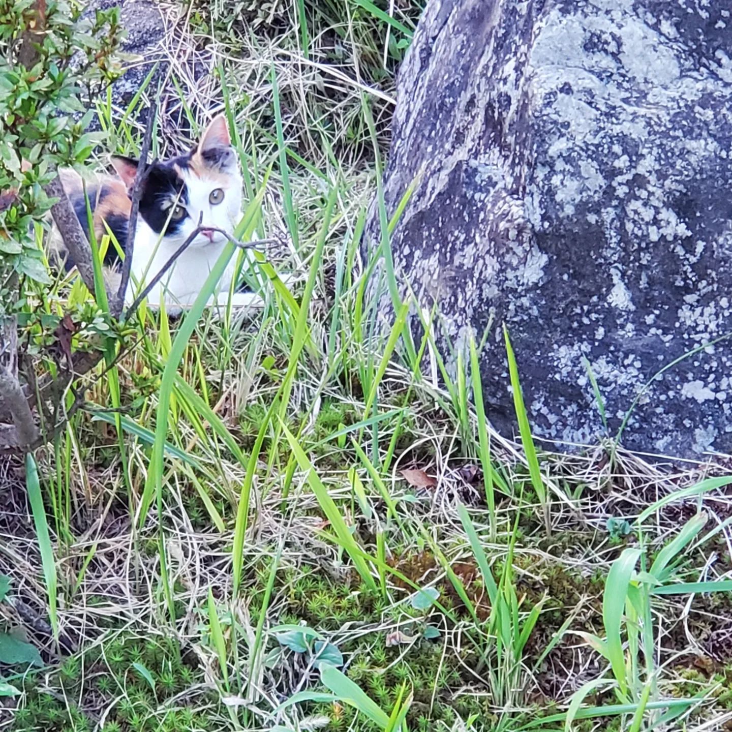 今日ももずくは元気です😍