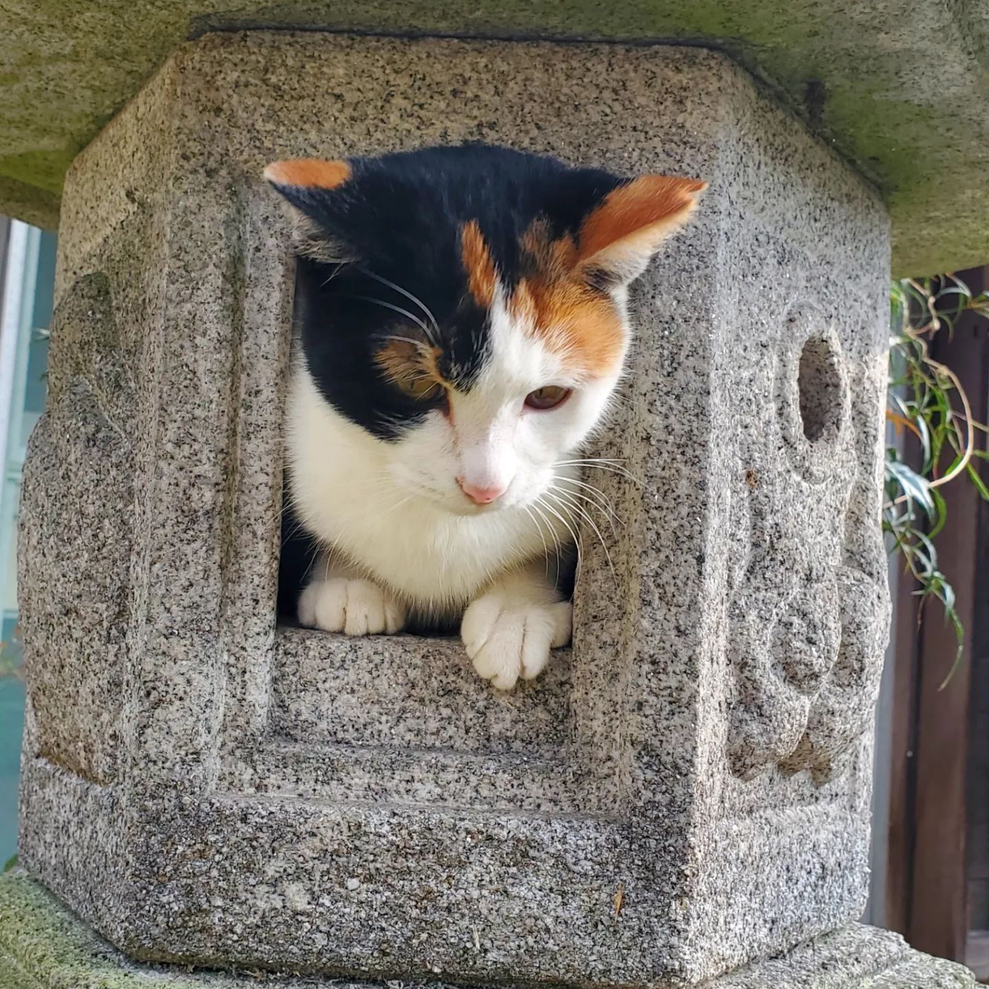 収まってるなー😍