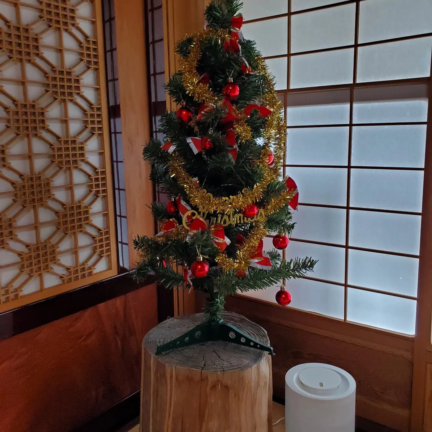 週末にguestさんがくるのでクリスマスツリーを飾ってみた…...