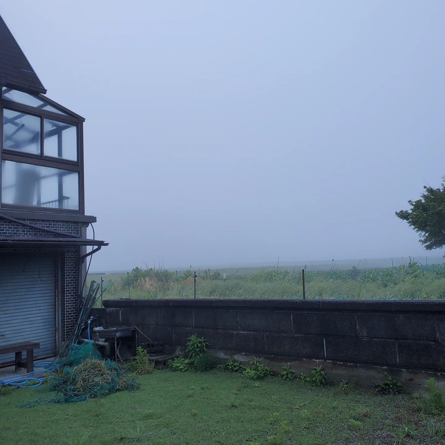 霧で真っ白、いつも見える山が全く見えない😳