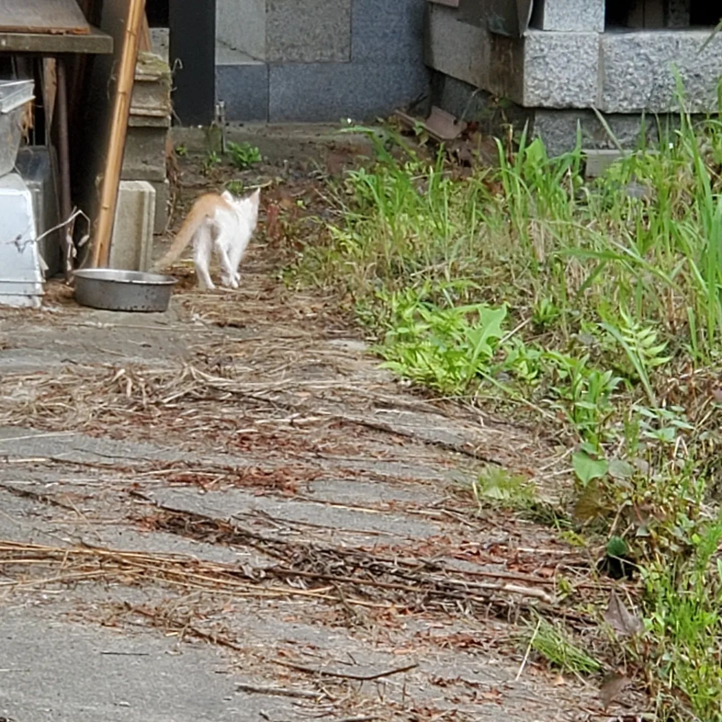 我が家に2台目の移動式エアコンが来ました。