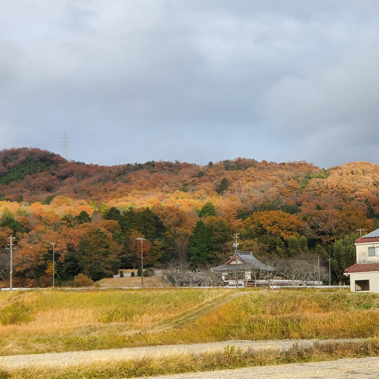 山がオレンジで綺麗😍