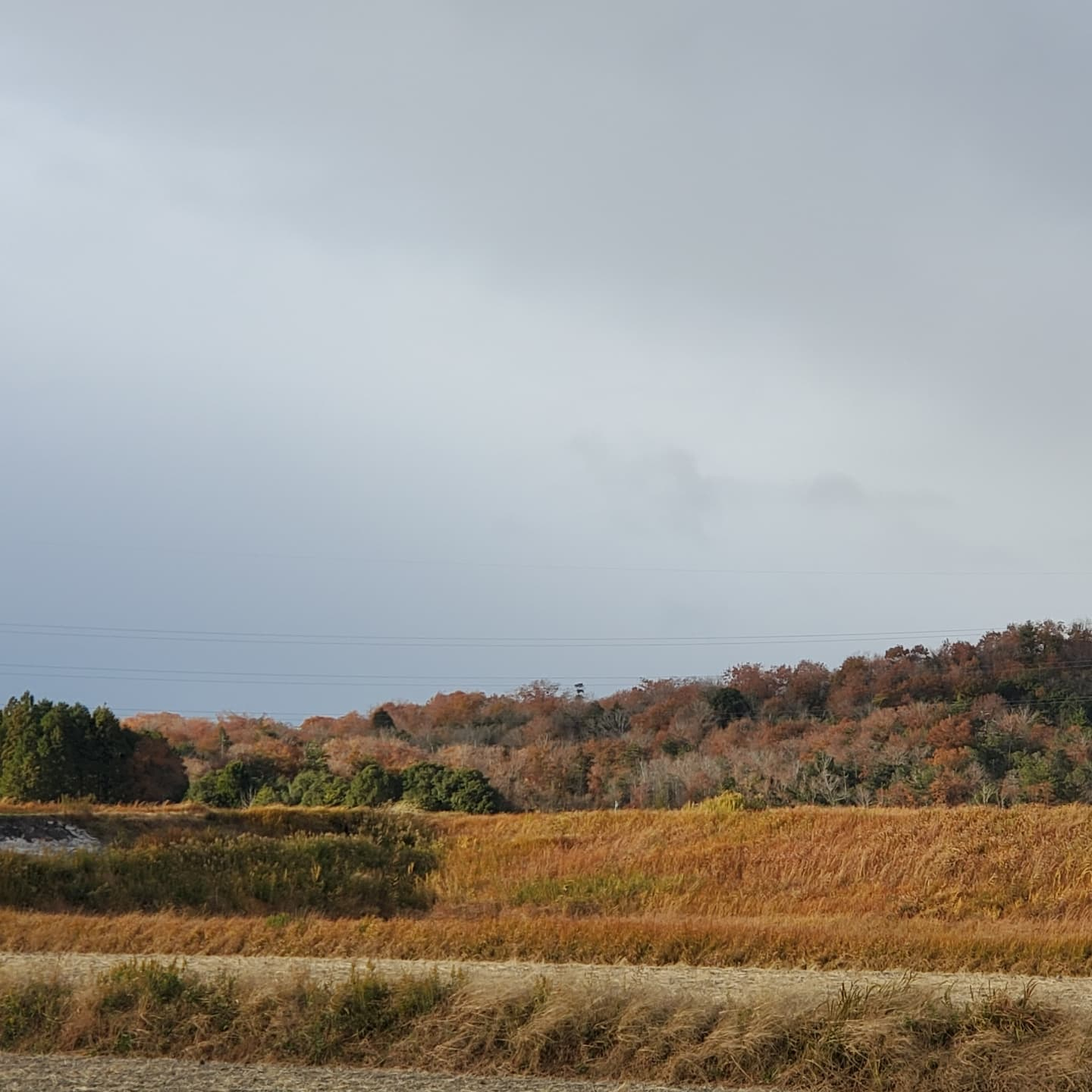 山がオレンジで綺麗😍
