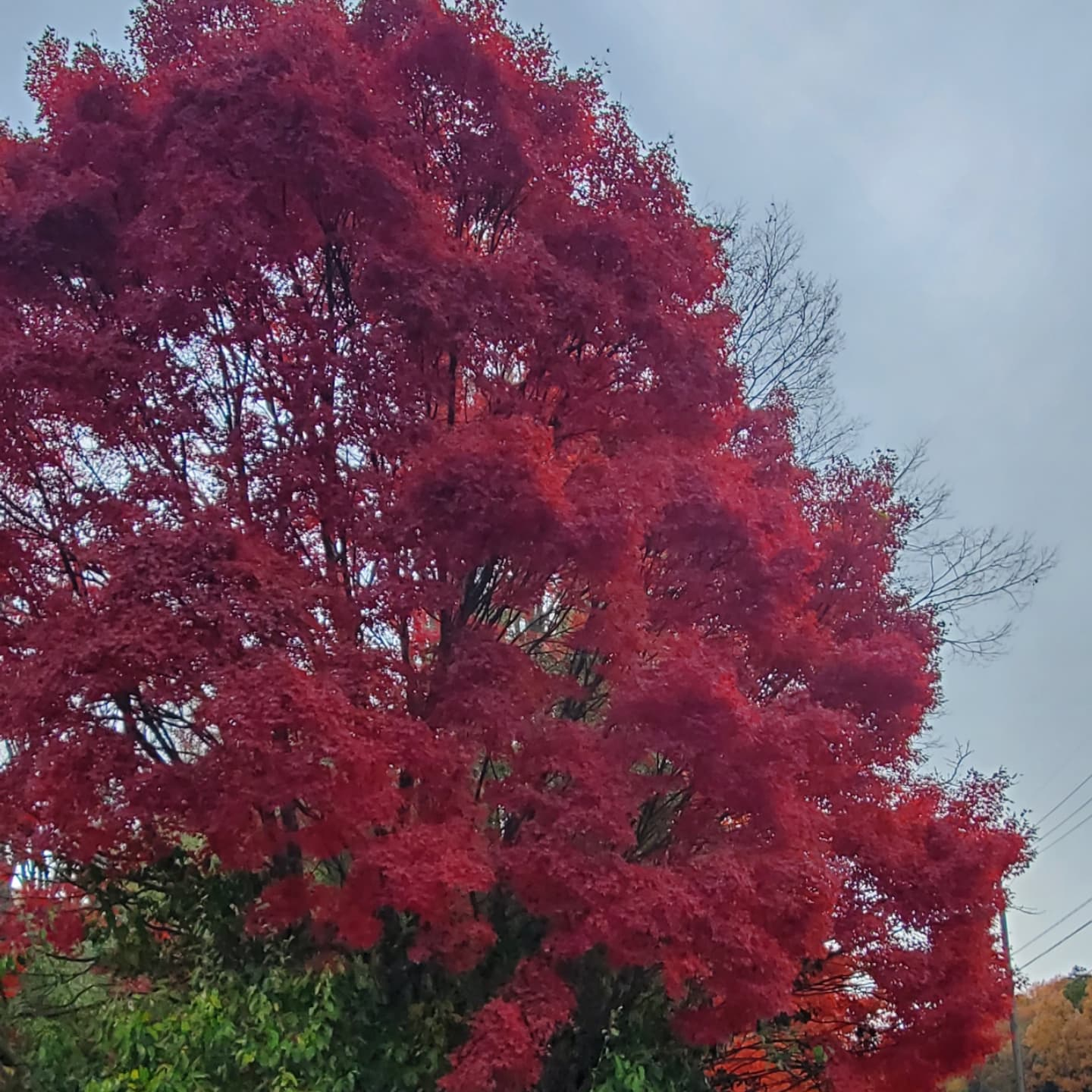 山がオレンジで綺麗😍