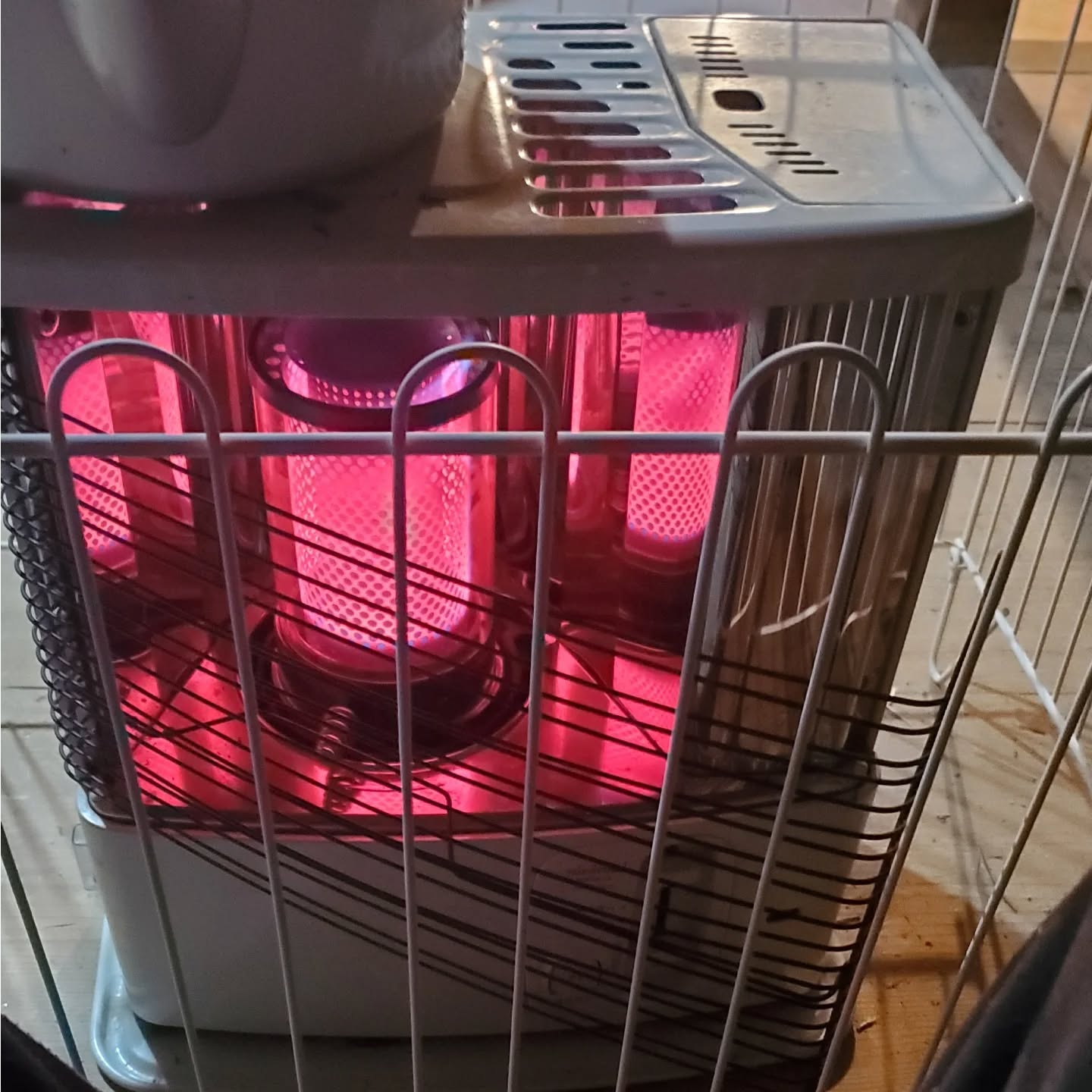 寒い日はストーブがいいねー炎🔥見て、