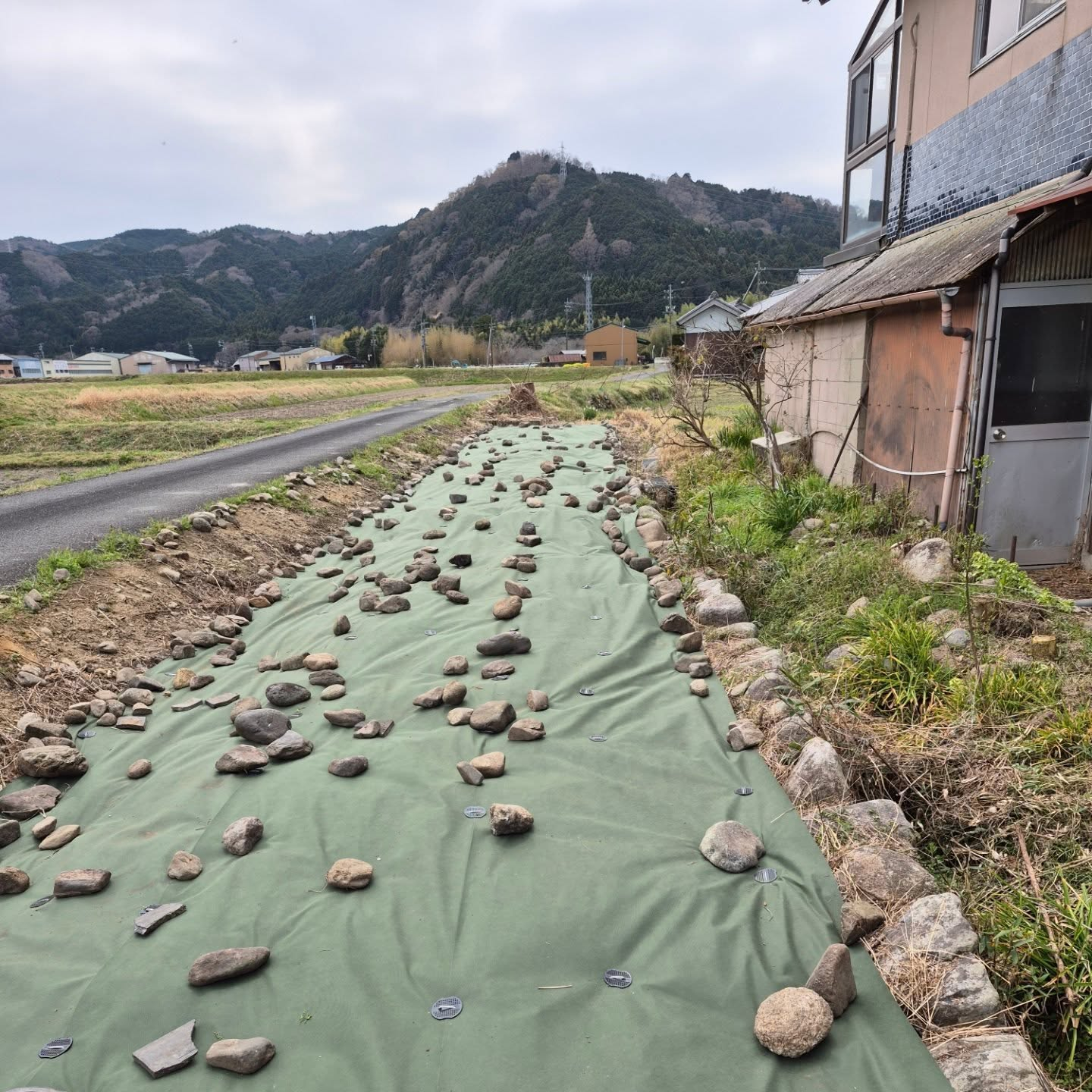 春が近いので、叔母に手伝って貰って