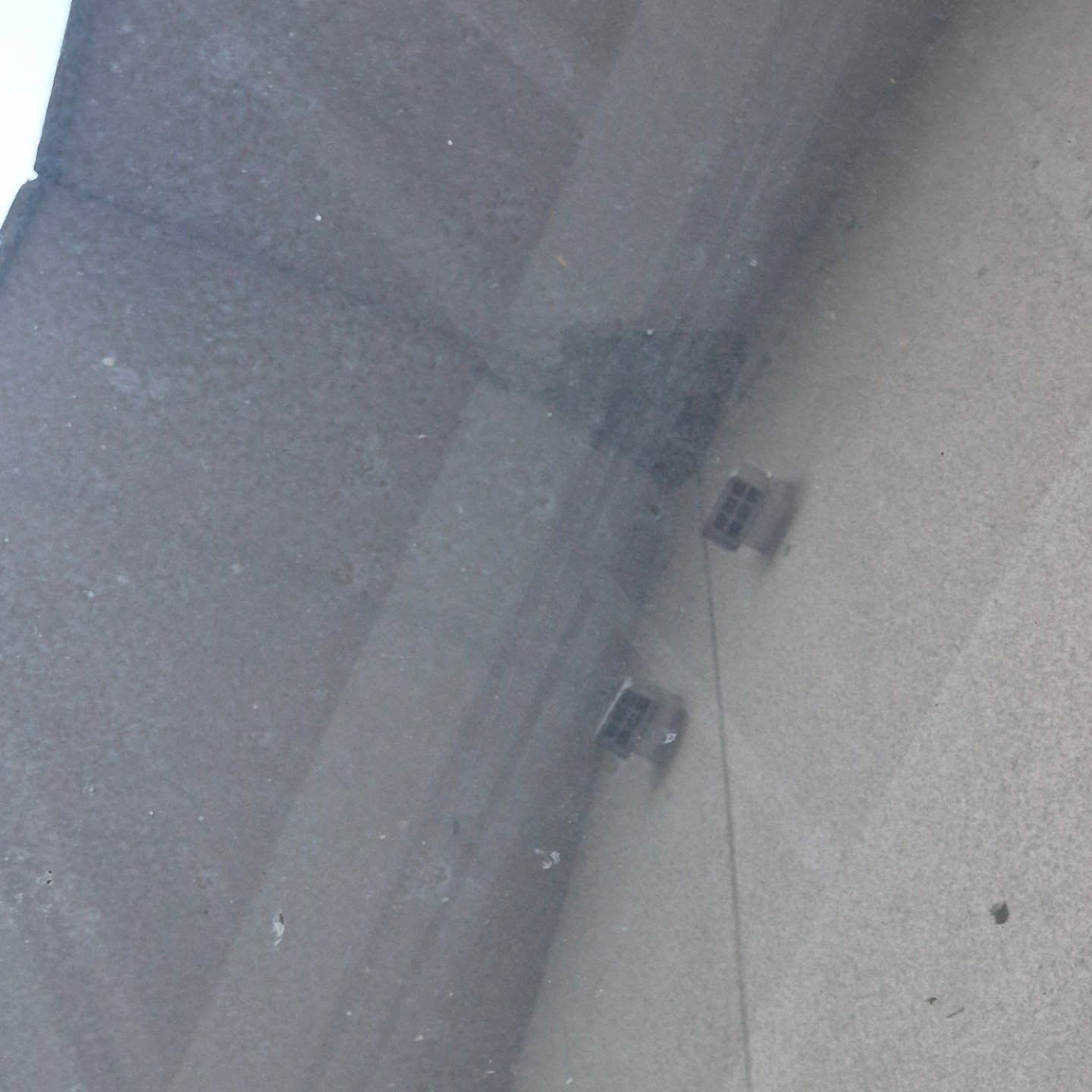 今年はツバメさんが