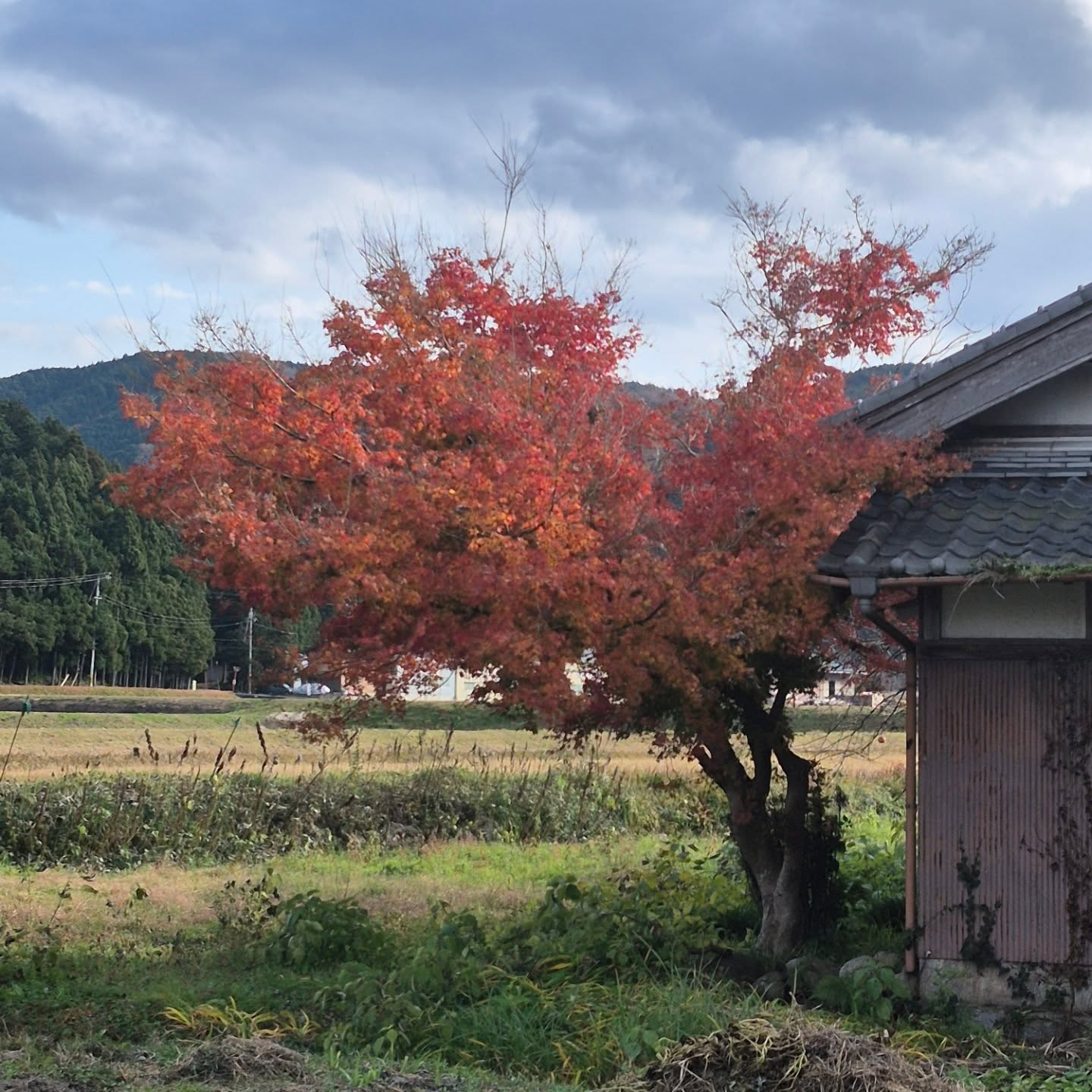 今日は冬っぽい天気😊