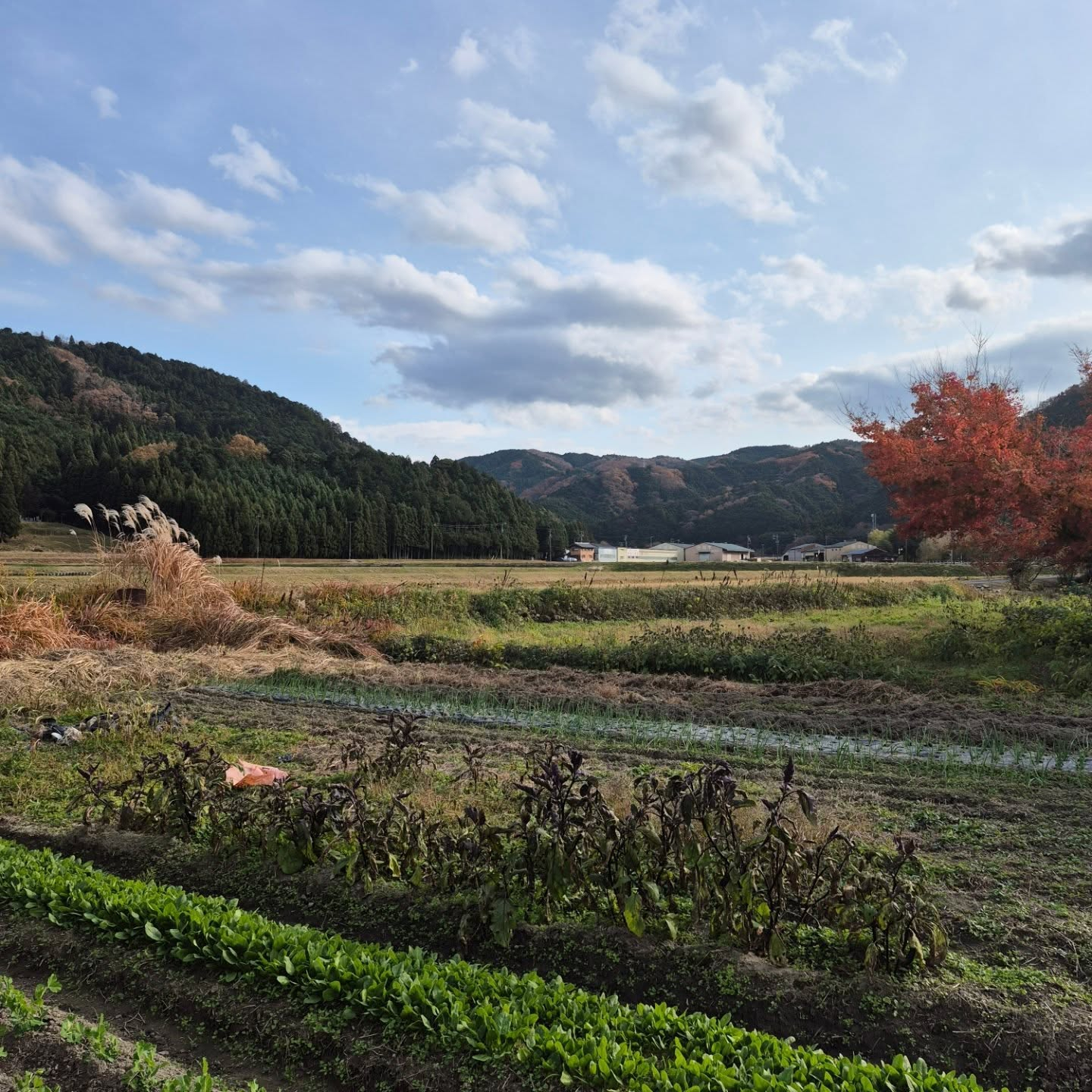 今日は冬っぽい天気😊