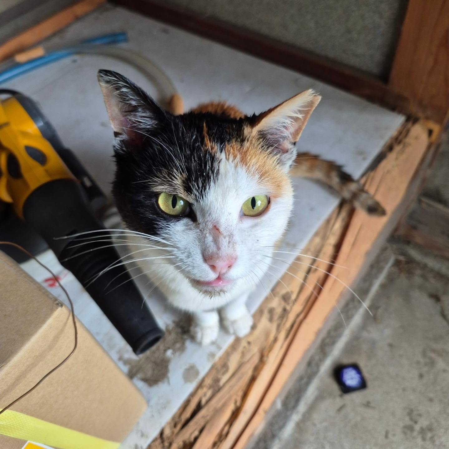 もずくさんは、雨でも外に遊びにいく