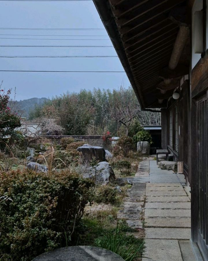 なんか寒いと思ったら、雪降ってるー😆