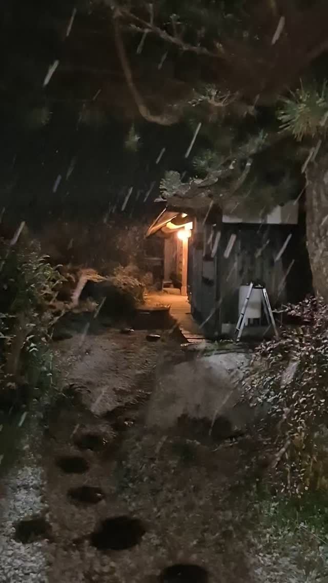 めっちゃ雪降ってきた😍