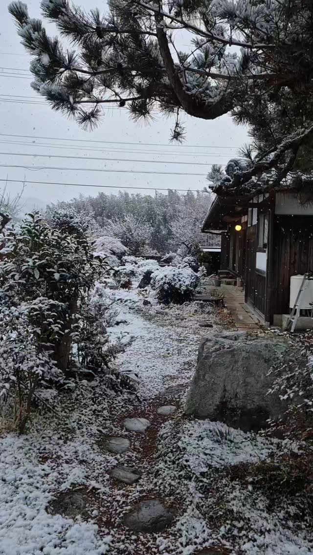 雪国っちゃうのに大雪や🤔