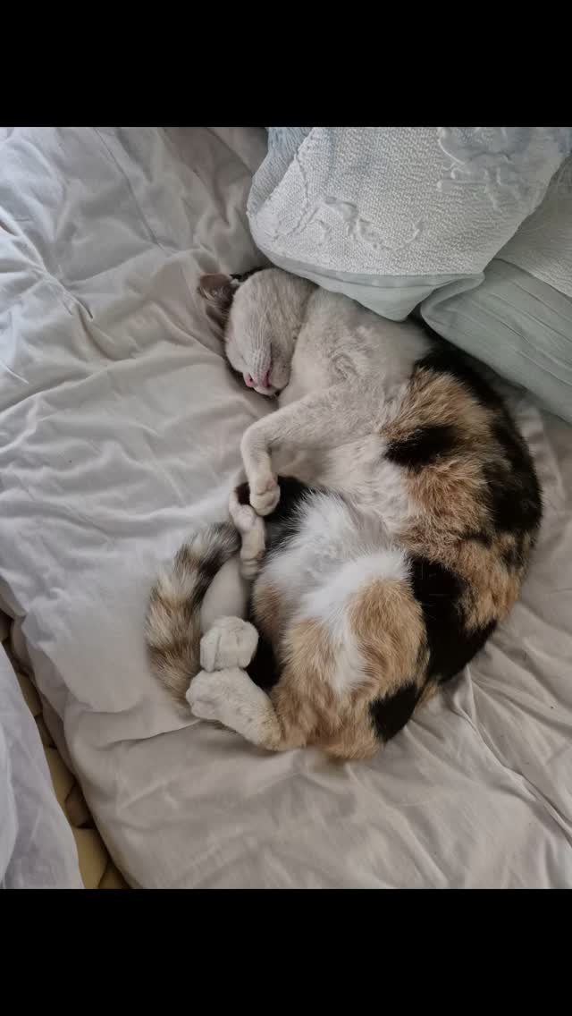 めっちゃ捜してたら