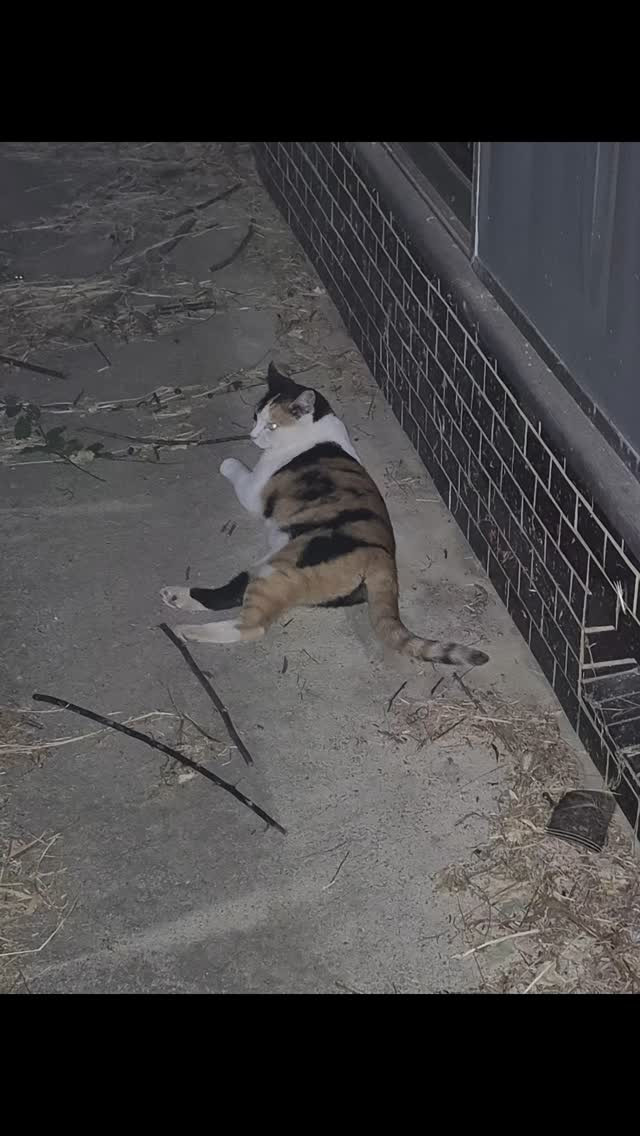 もずくさんも3回目の夏です😍