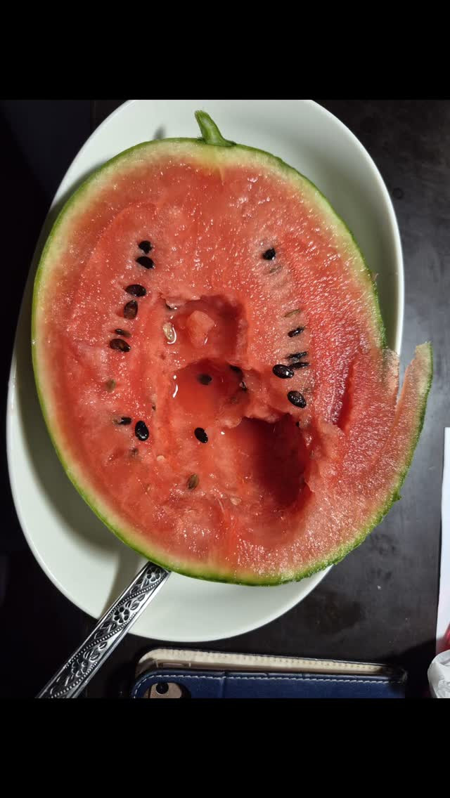 今年のスイカ🍉