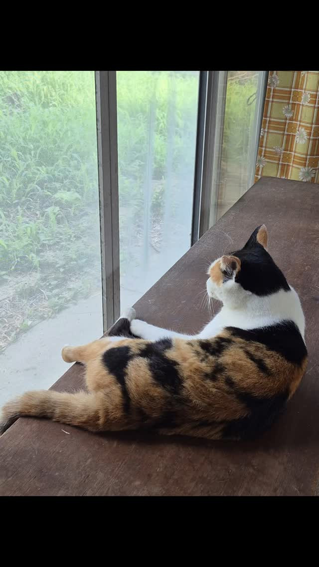 風邪引いて調子悪いと傍にいます😍