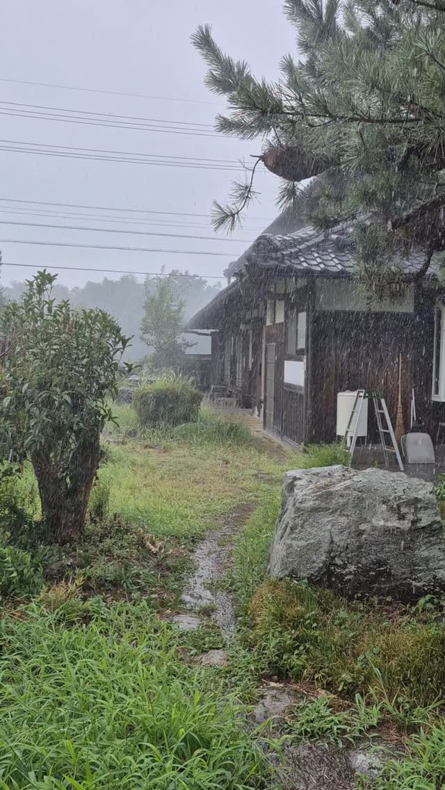 家で雷なってるのは今年初めて
