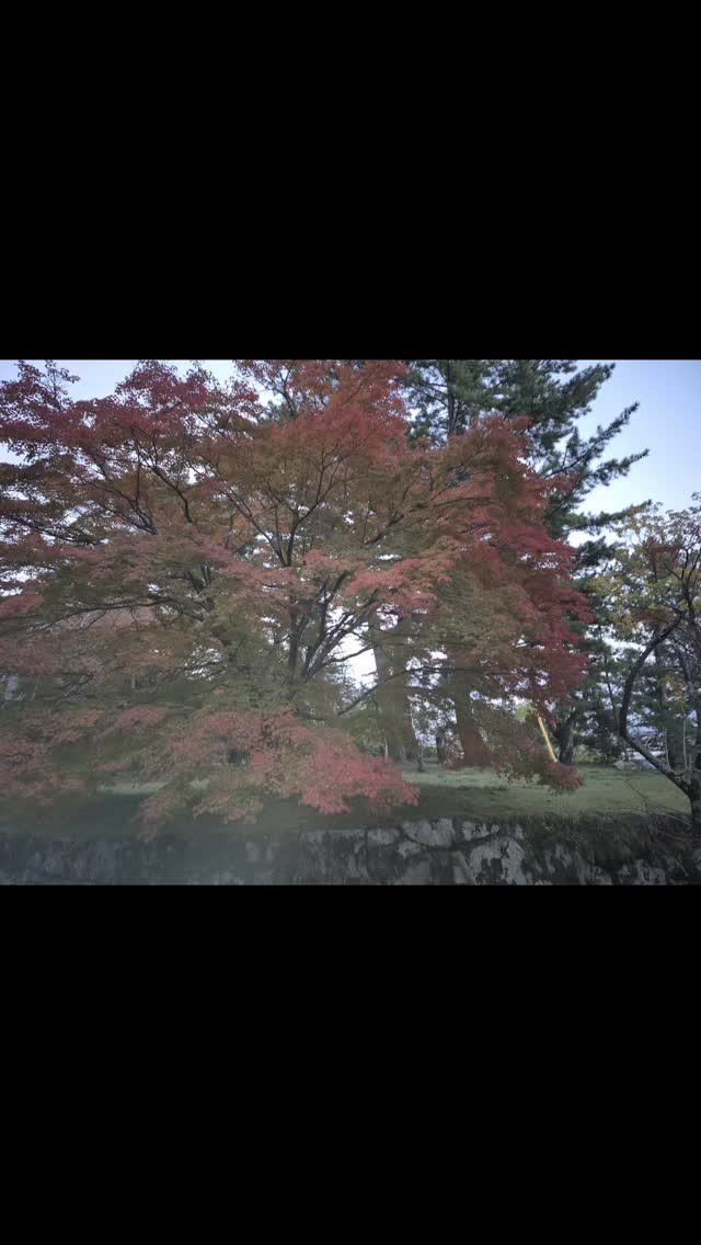 昨日、ゲストさんと散歩しに行ったあと、ご飯ご馳走になりました...