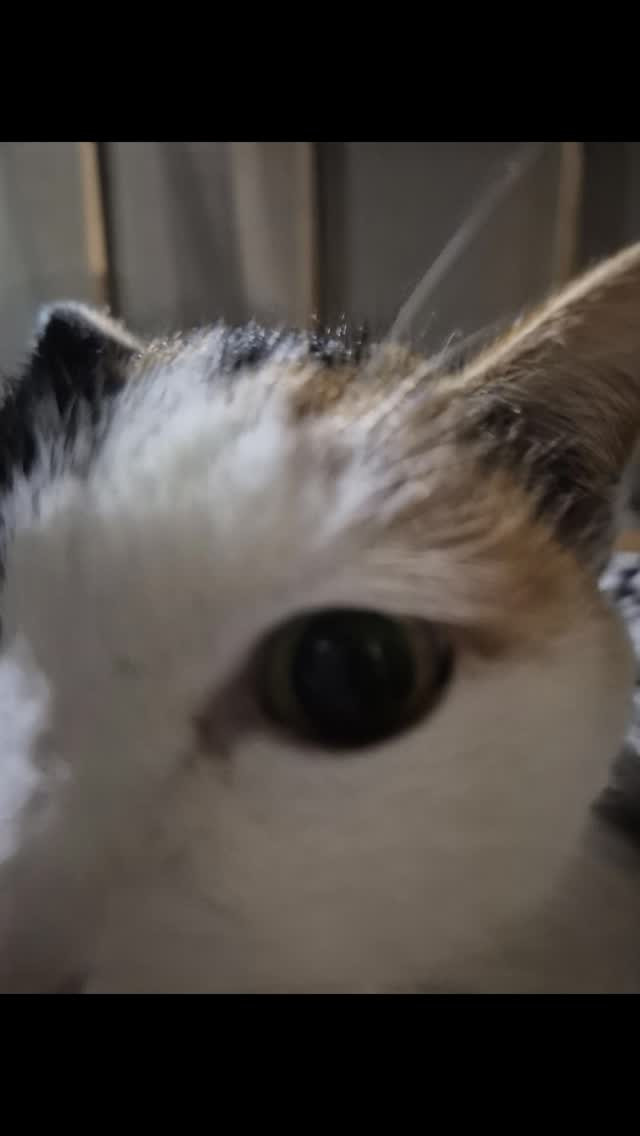 明けましておめでとうございます⁡