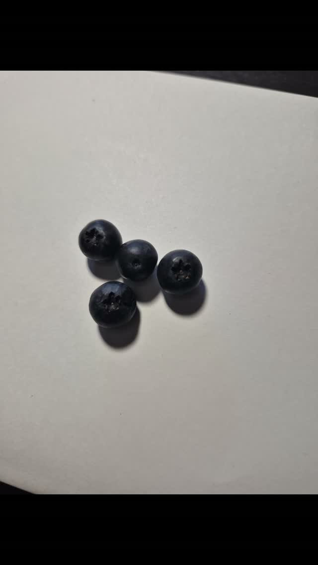ブルーベリーもなってきた😍⁡