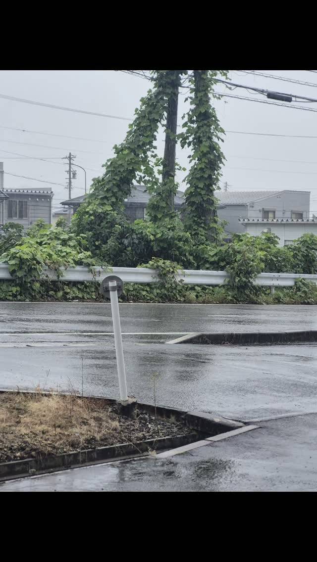 クルマの修理が夕方上がるっていってたから⁡